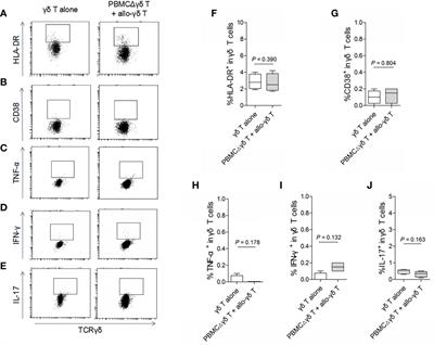 γδ T Cells May Aggravate Acute Graft-Versus-Host Disease Through CXCR4 Signaling After Allogeneic Hematopoietic Transplantation